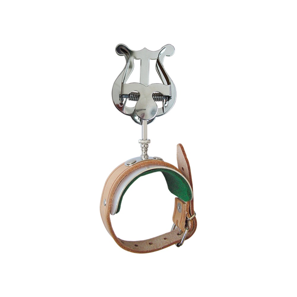 Riedl harpje kopen? Bestel dan bij YET Music & Sound